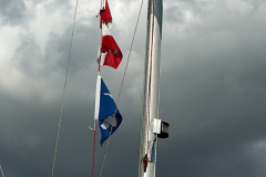 20240721_152741390_iOS