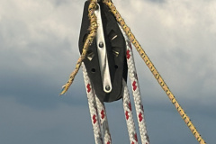 20240721_153700425_iOS